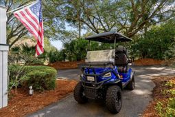 2431 Racquet Club Drive photo 4