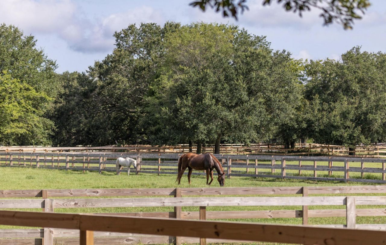 2431 Racquet Club Drive Photo 79