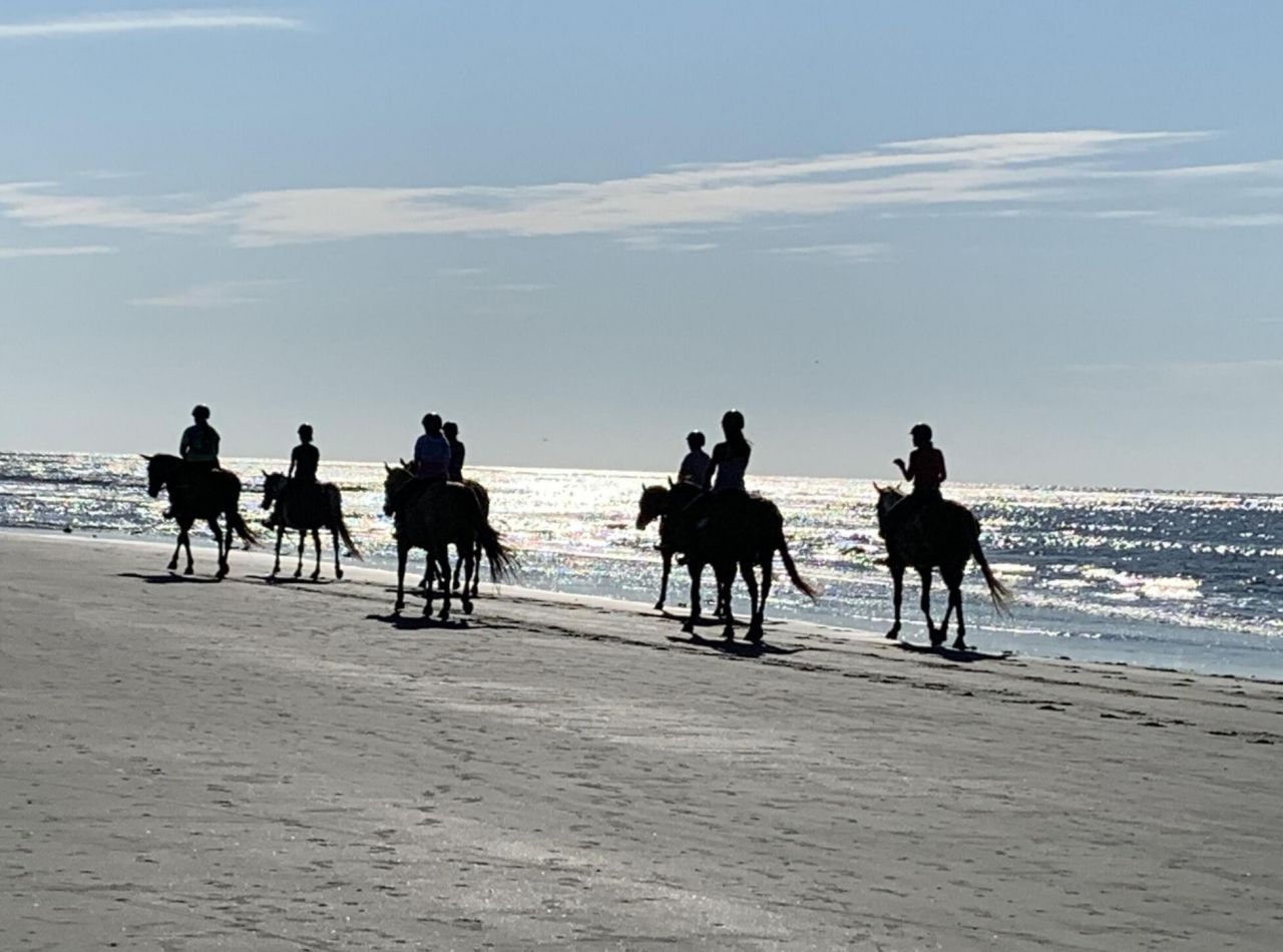 2431 Racquet Club Drive Photo 80