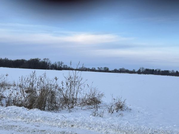 00 110th Avenue, Buffalo, IA 52728