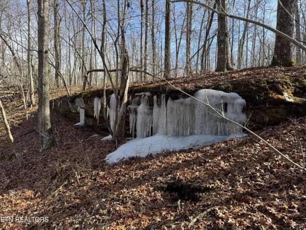 37 Crystal Point , Monterey, TN 38574