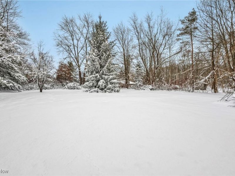 8564 Cedar Road, Chesterland, OH 44026 Photo 39