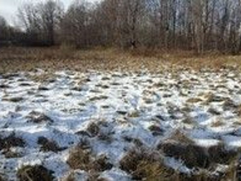 7687 Ravenna Road, Hudson, OH 44236 Photo 6