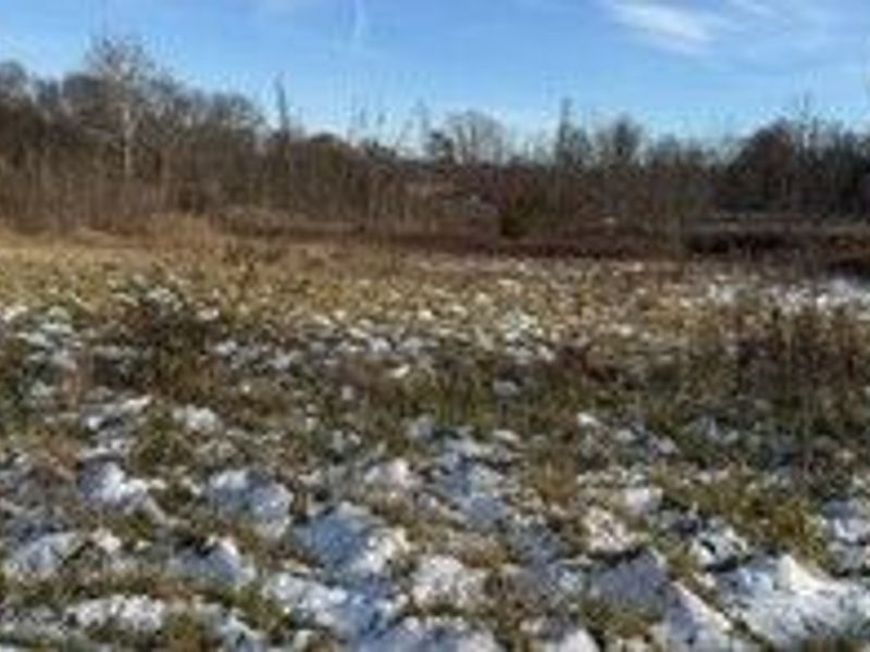 7687 Ravenna Road, Hudson, OH 44236 Photo 6