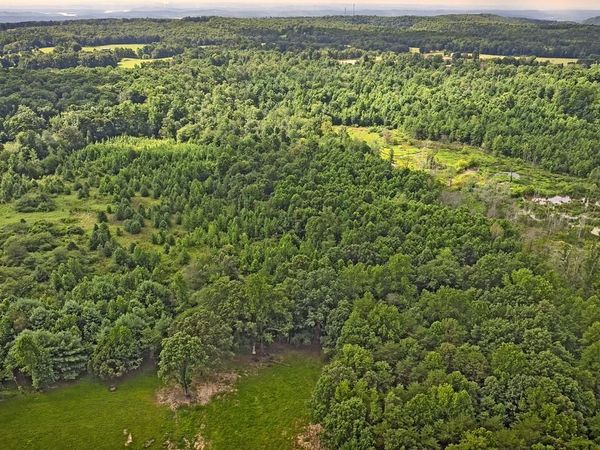 329 Flower Garden Road, Grandview, TN 37337