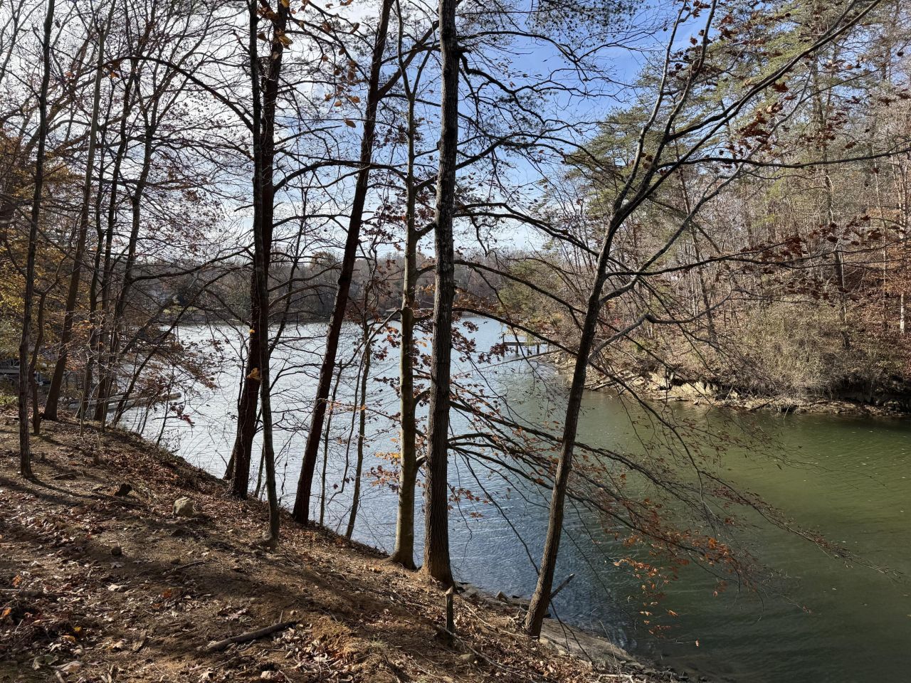 Lot 9 Tiki Terrace, Goodview, VA 24095 Main Photo