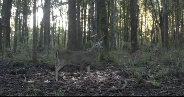 Tbd House Road Photo 10