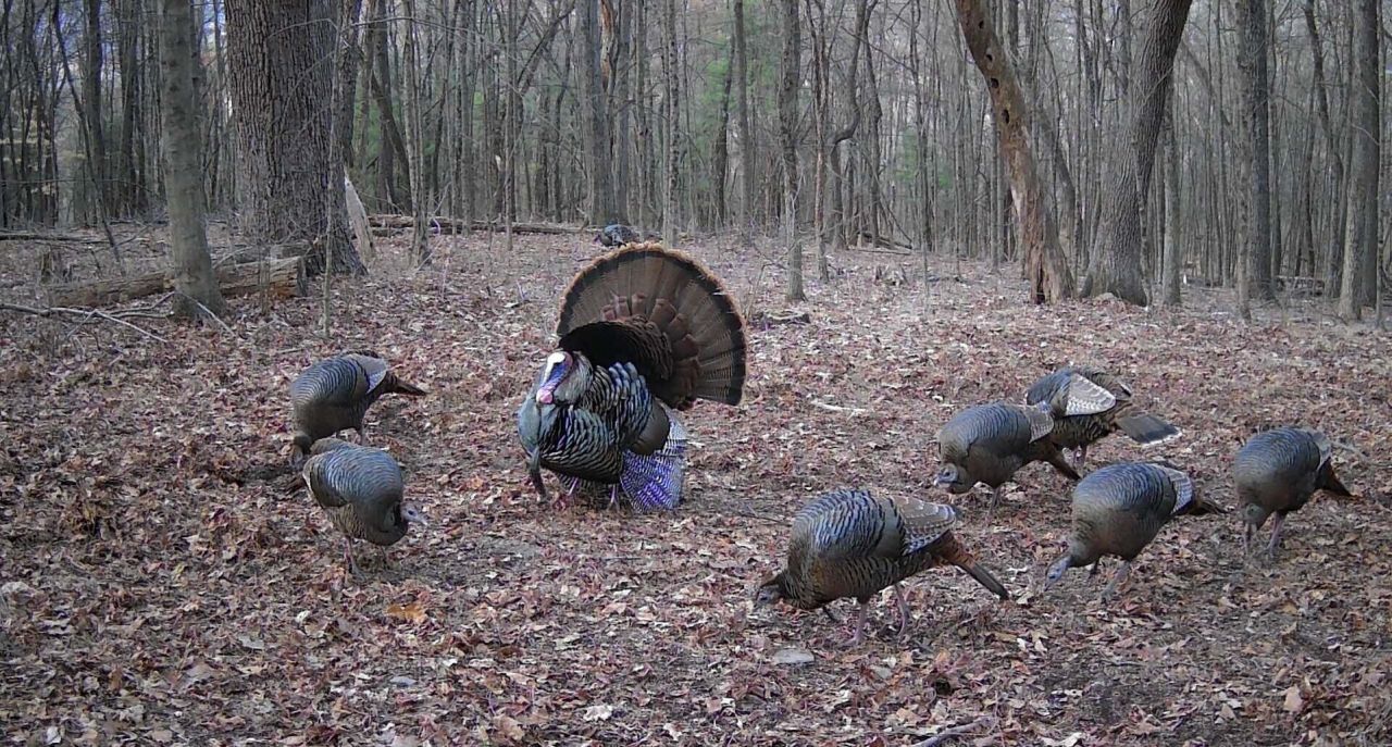 Tbd House Road Photo 11