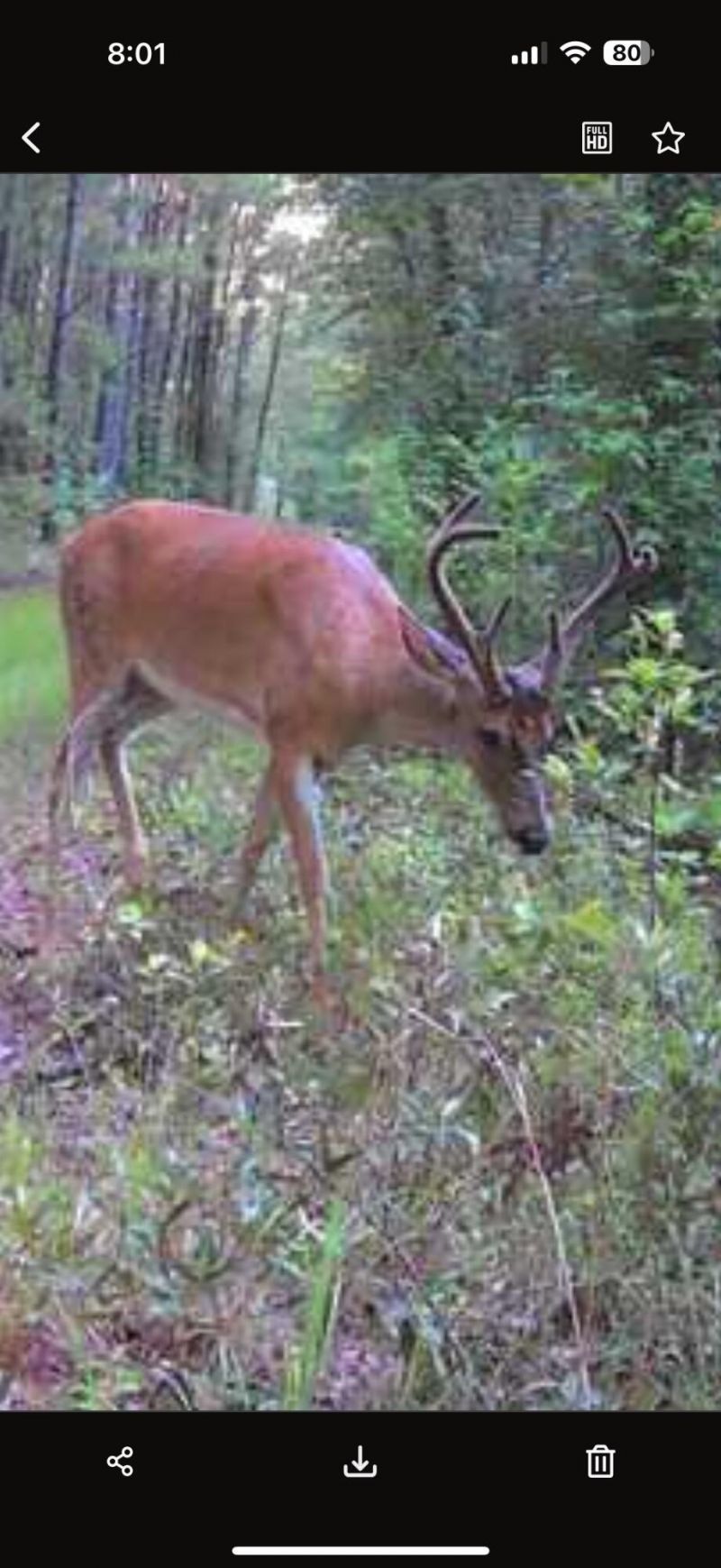 Tbd House Road Photo 12