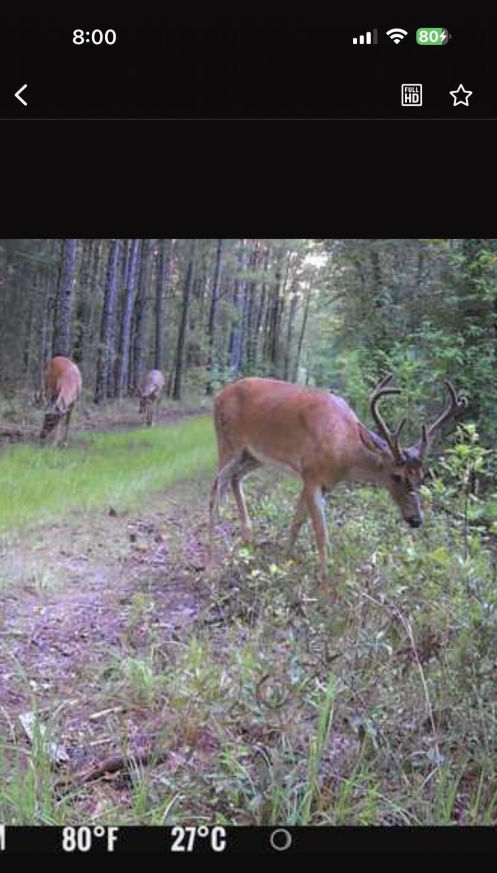 Tbd House Road Photo 13