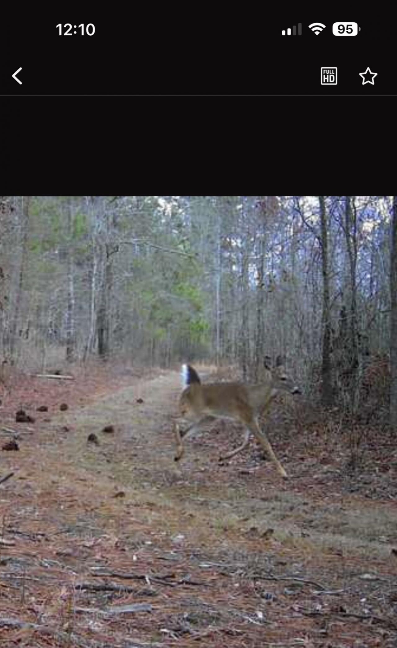 Tbd House Road Photo 14