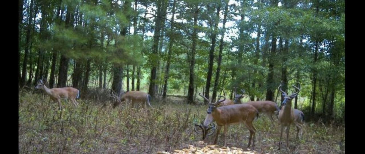 Tbd House Road Photo 15