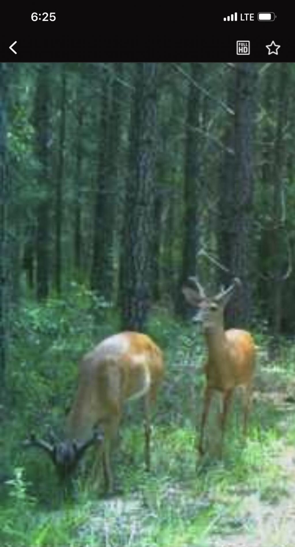 Tbd House Road Photo 16