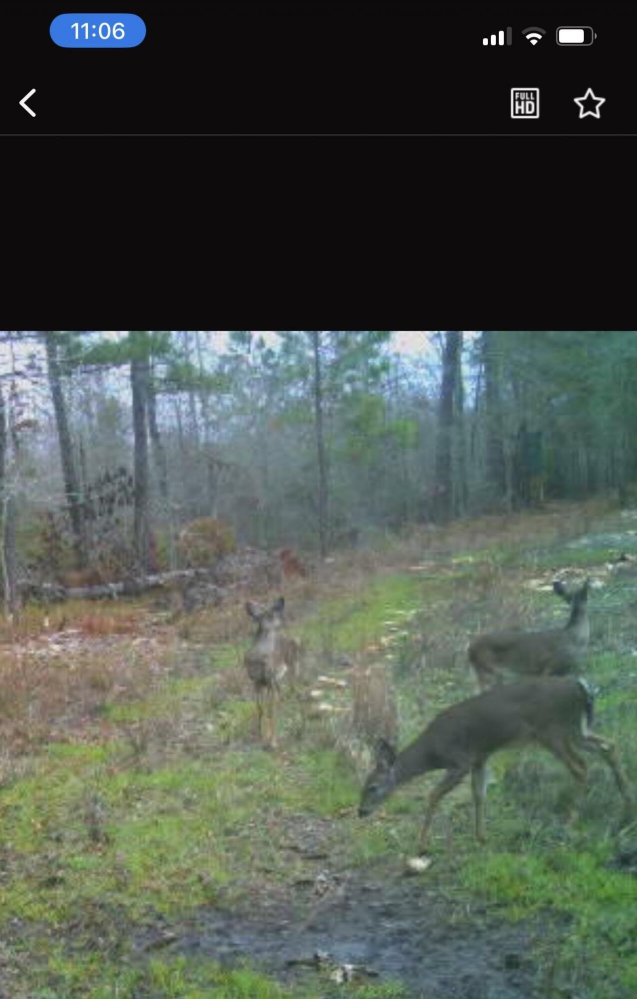 Tbd House Road Photo 17