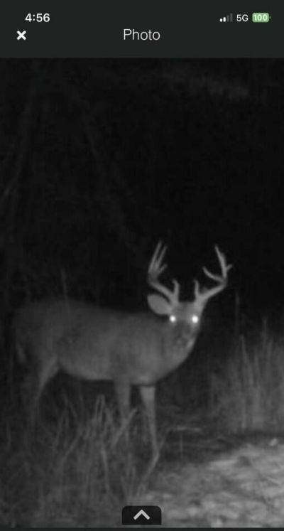 Tbd House Road Photo 18