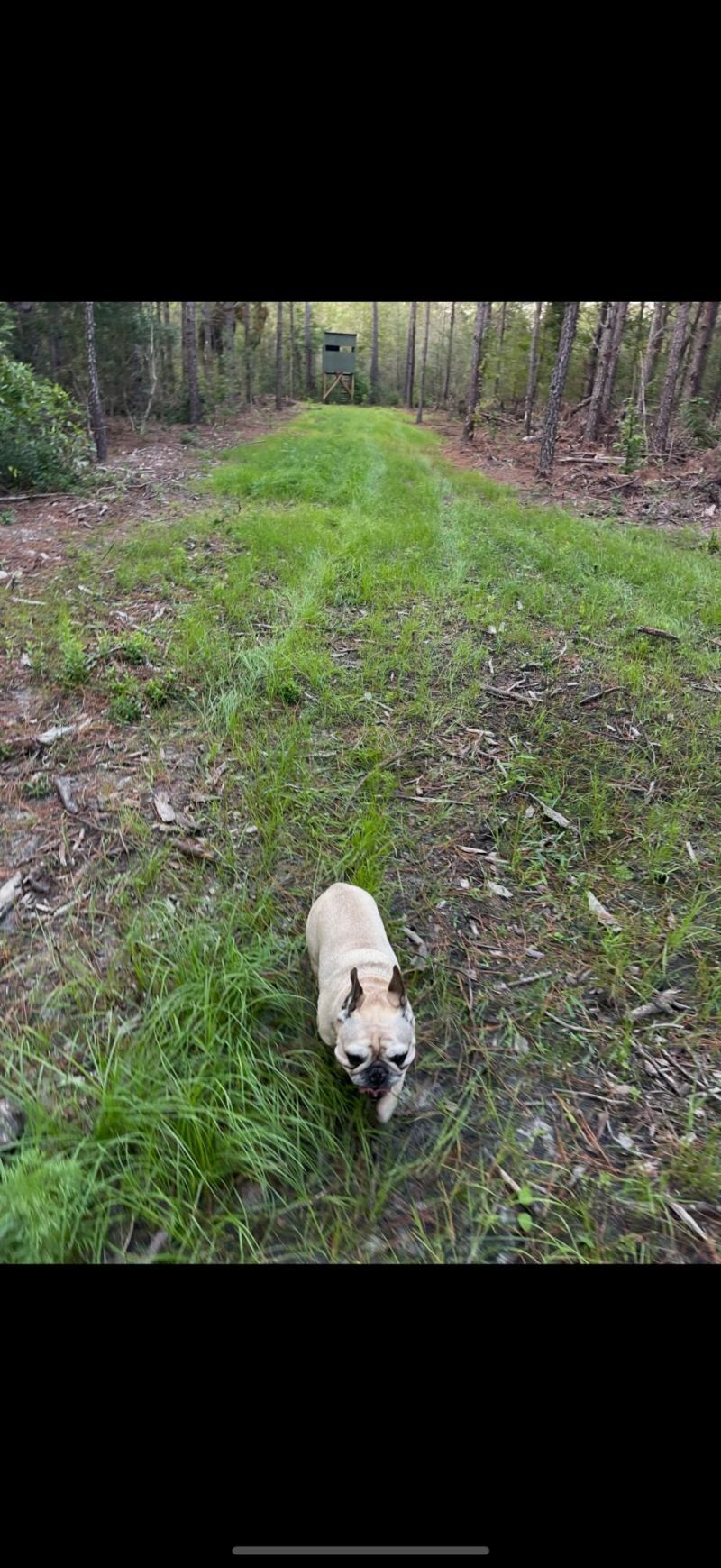 Tbd House Road Photo 25