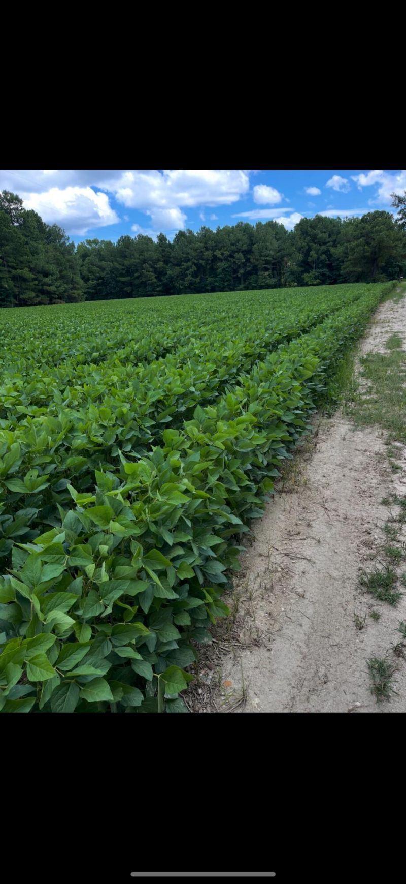 Tbd House Road Photo 32