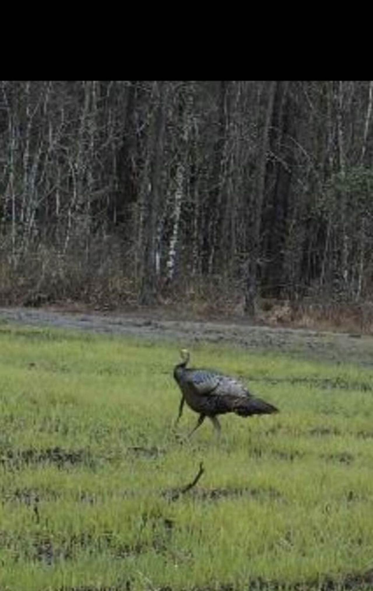 Tbd House Road Photo 33