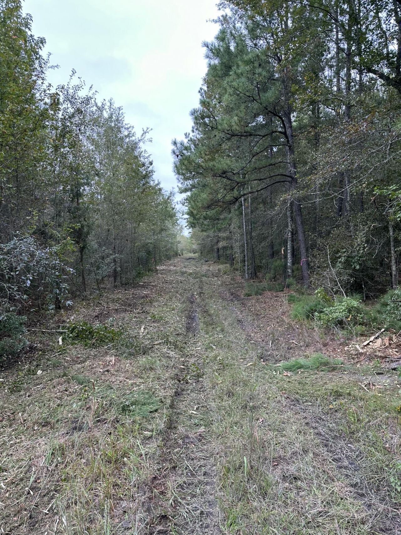 Tbd House Road Photo 4