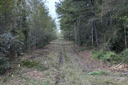 Tbd House Road photo 4