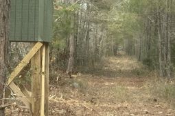 Tbd House Road photo 4