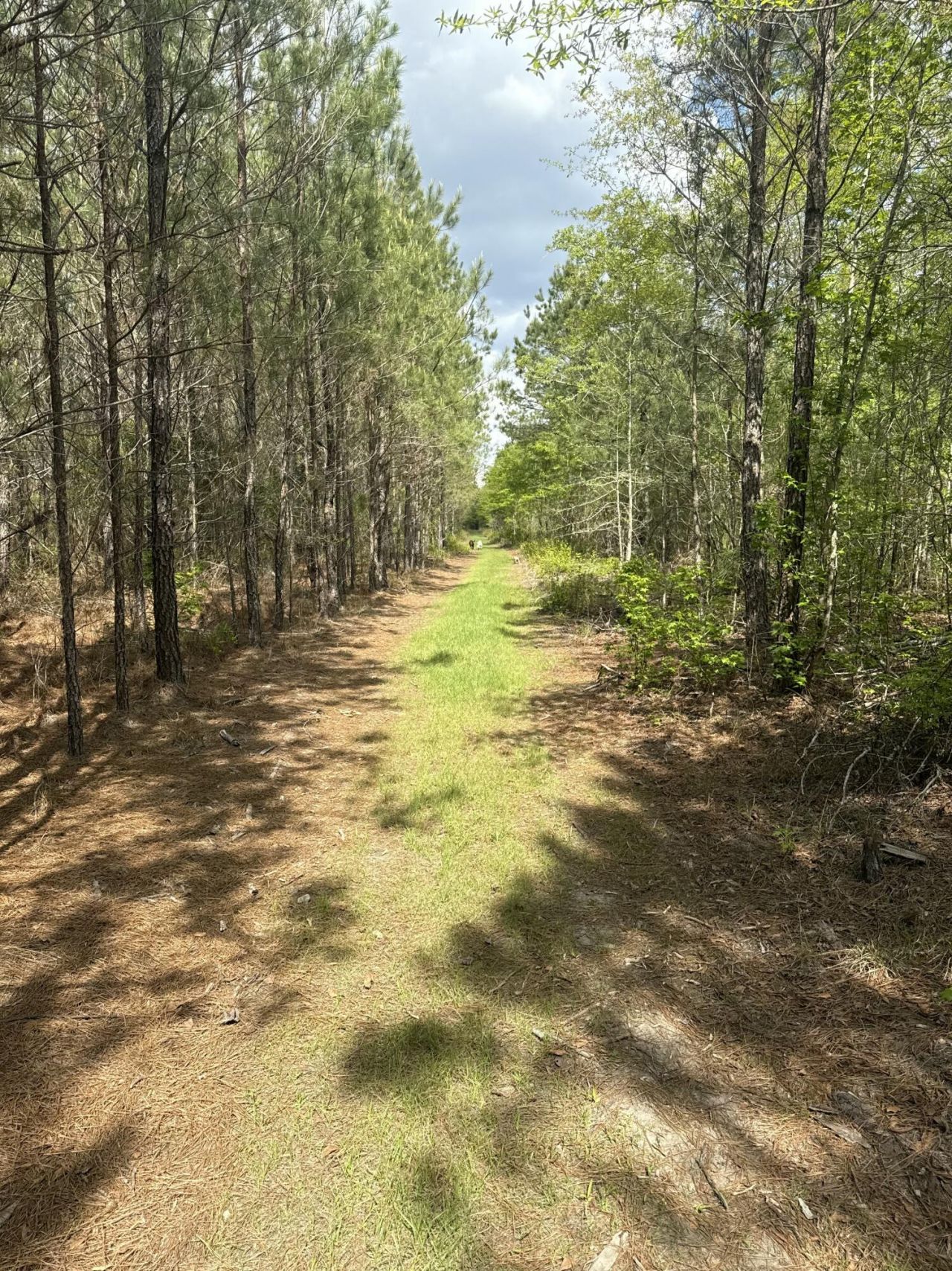 Tbd House Road Photo 6