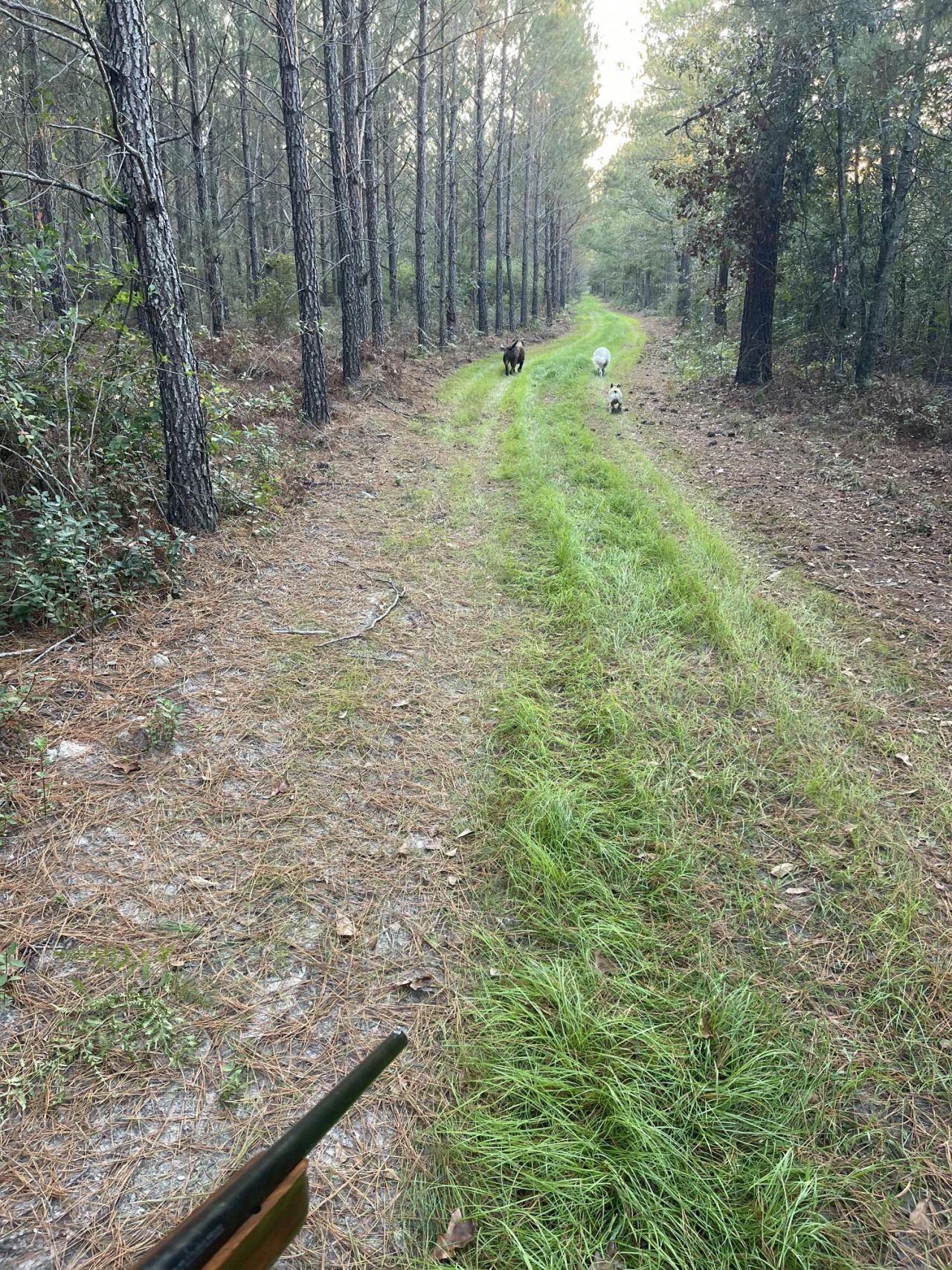 Tbd House Road Photo 7