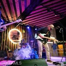 11065 Smokey Dr, Bonita Springs, FL 34135 Photo