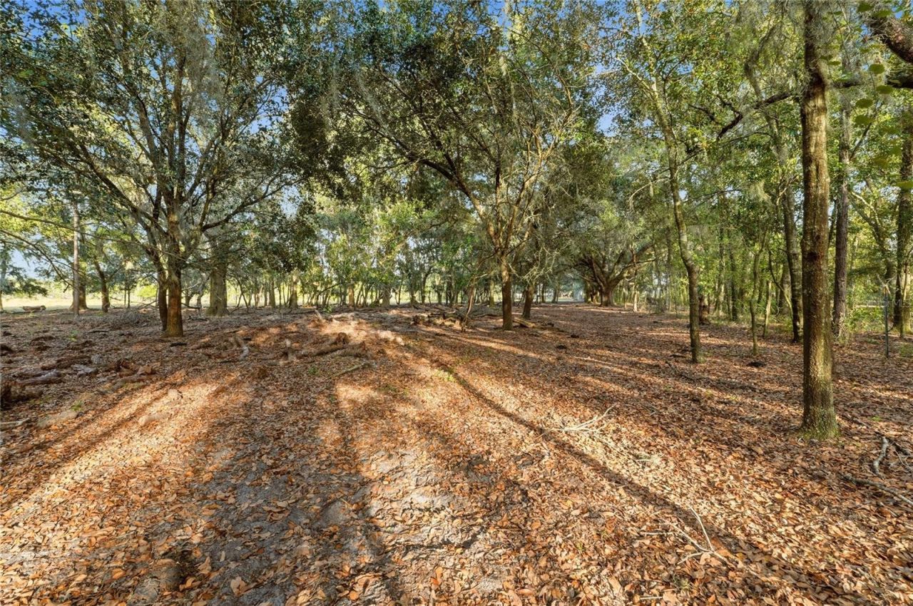 3800 Gerber Dairy Road, Winter Haven, FL 33880 Photo