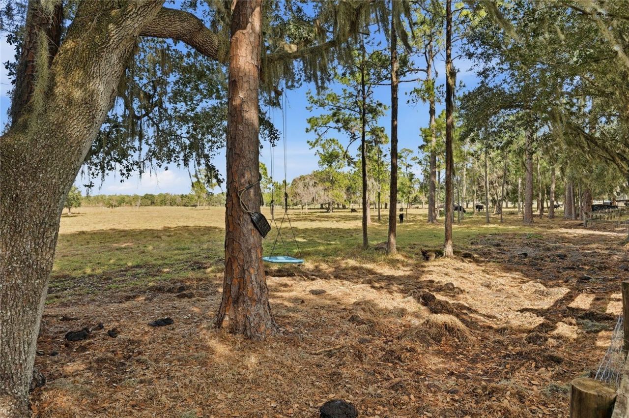 3800 Gerber Dairy Road, Winter Haven, FL 33880 Photo