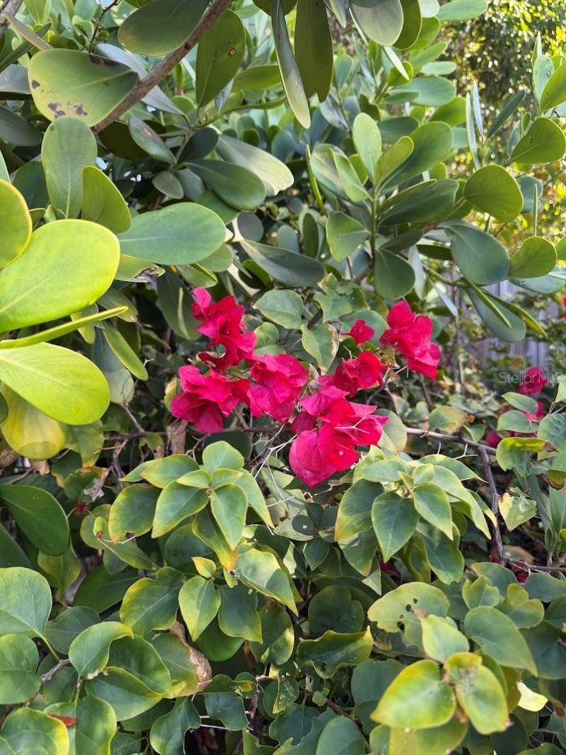 5721 10th Avenue N, Saint Petersburg, FL 33710 Photo