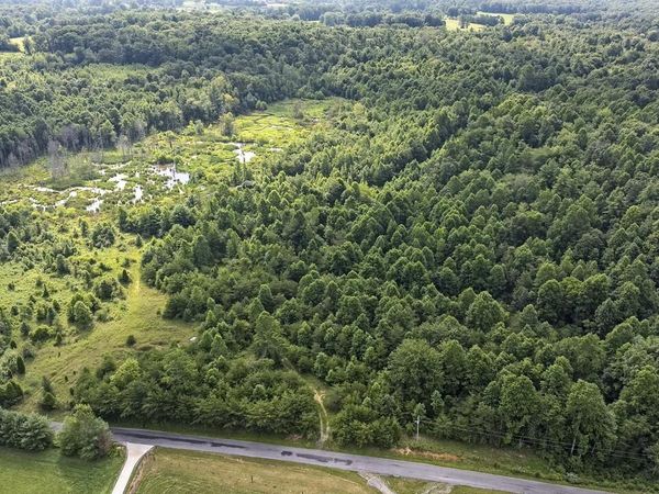 329 Flower Garden Road, Grandview, TN 37337