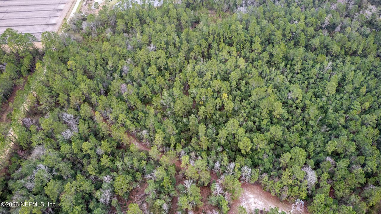 4405 State Road 206 W, Elkton, FL 32033 Photo