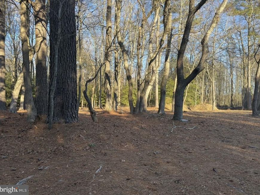 10228 Sharptown Road, Mardela Springs, MD 21837 Main Photo