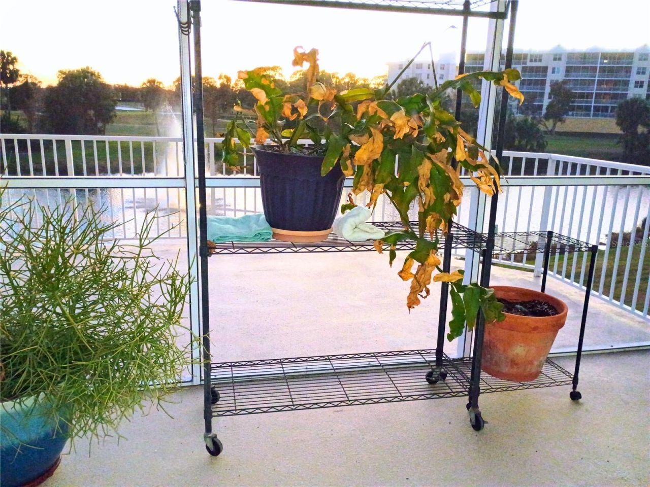 960 Starkey Road, Unit 8106, Largo, FL 33771 Photo