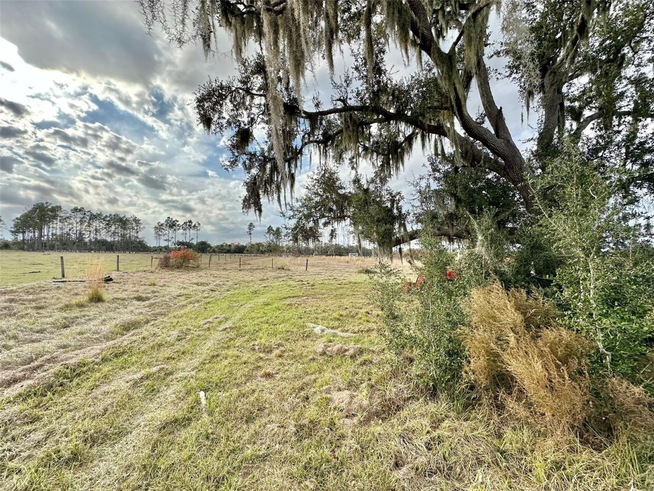 14780 Sugar Bowl Road, Myakka City, FL 34251 Photo