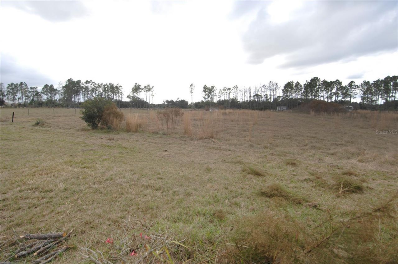 14780 Sugar Bowl Road, Myakka City, FL 34251 Photo