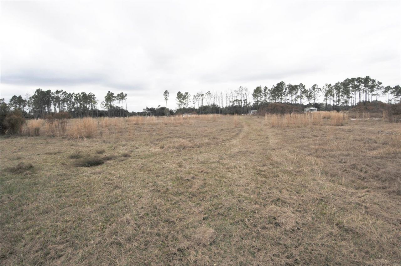 14780 Sugar Bowl Road, Myakka City, FL 34251 Photo