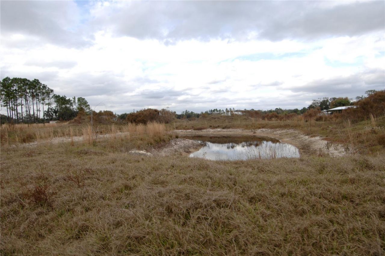 14780 Sugar Bowl Road, Myakka City, FL 34251 Photo