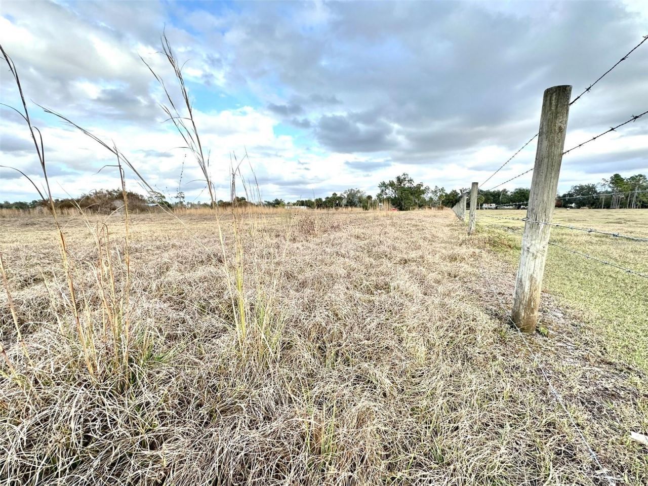 14780 Sugar Bowl Road, Myakka City, FL 34251 Photo