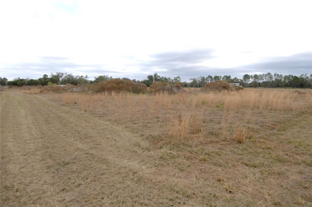 14780 Sugar Bowl Road, Myakka City, FL 34251 Photo