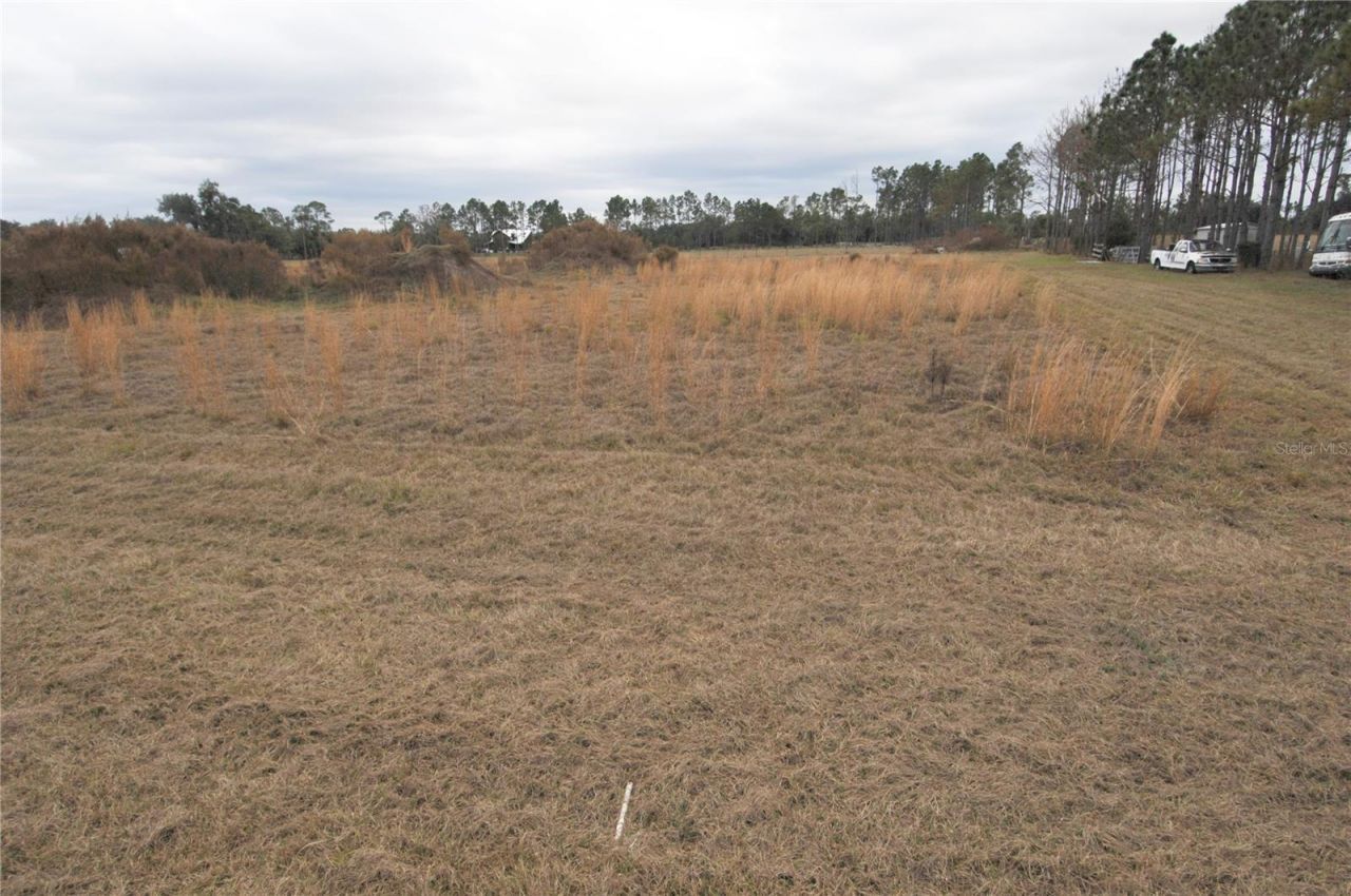 14780 Sugar Bowl Road, Myakka City, FL 34251 Photo