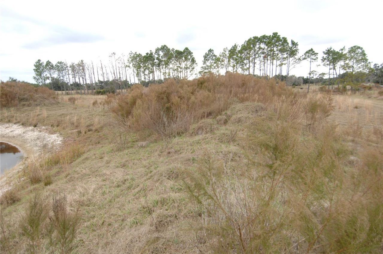 14780 Sugar Bowl Road, Myakka City, FL 34251 Photo