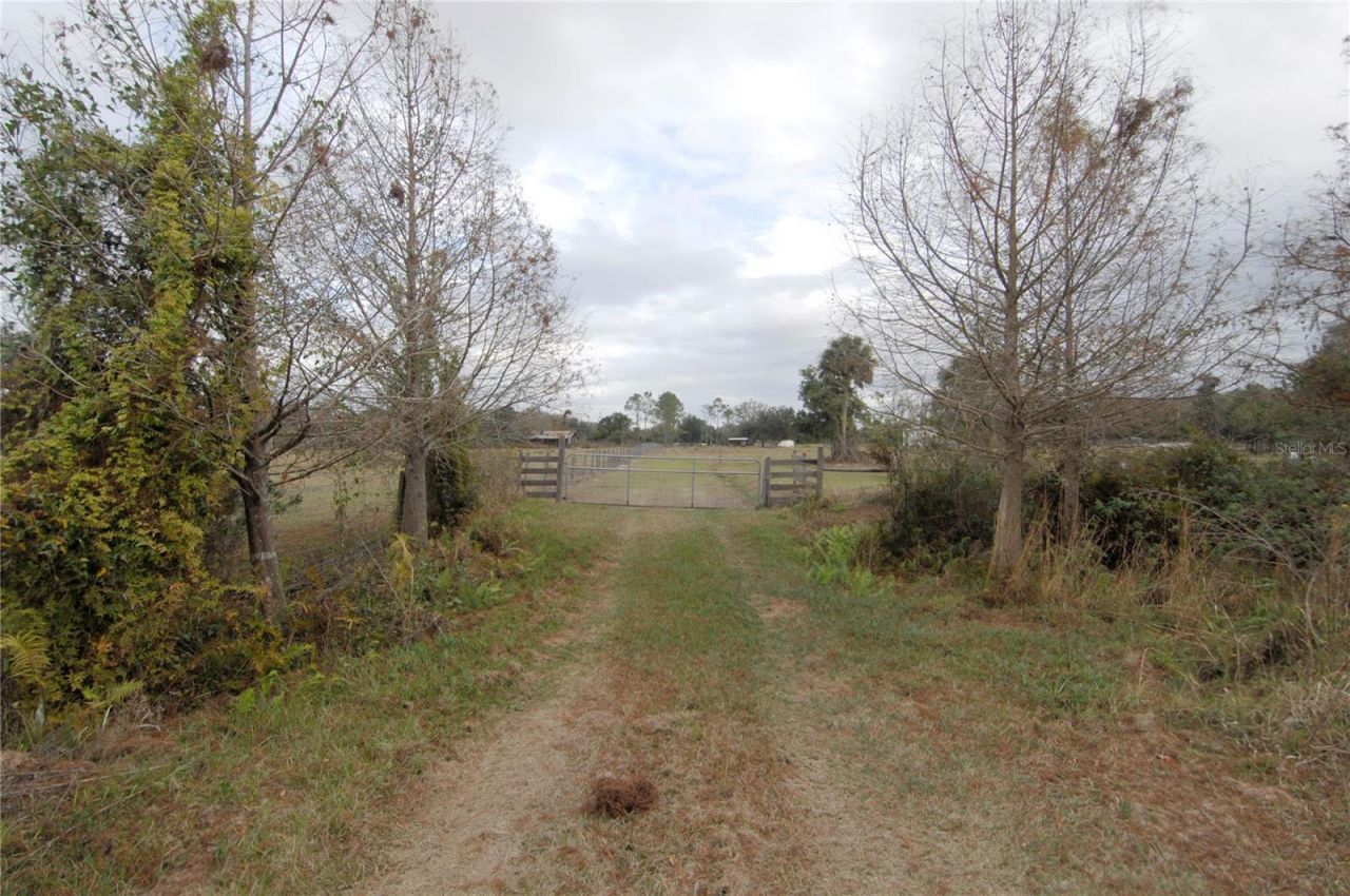 14780 Sugar Bowl Road, Myakka City, FL 34251 Photo