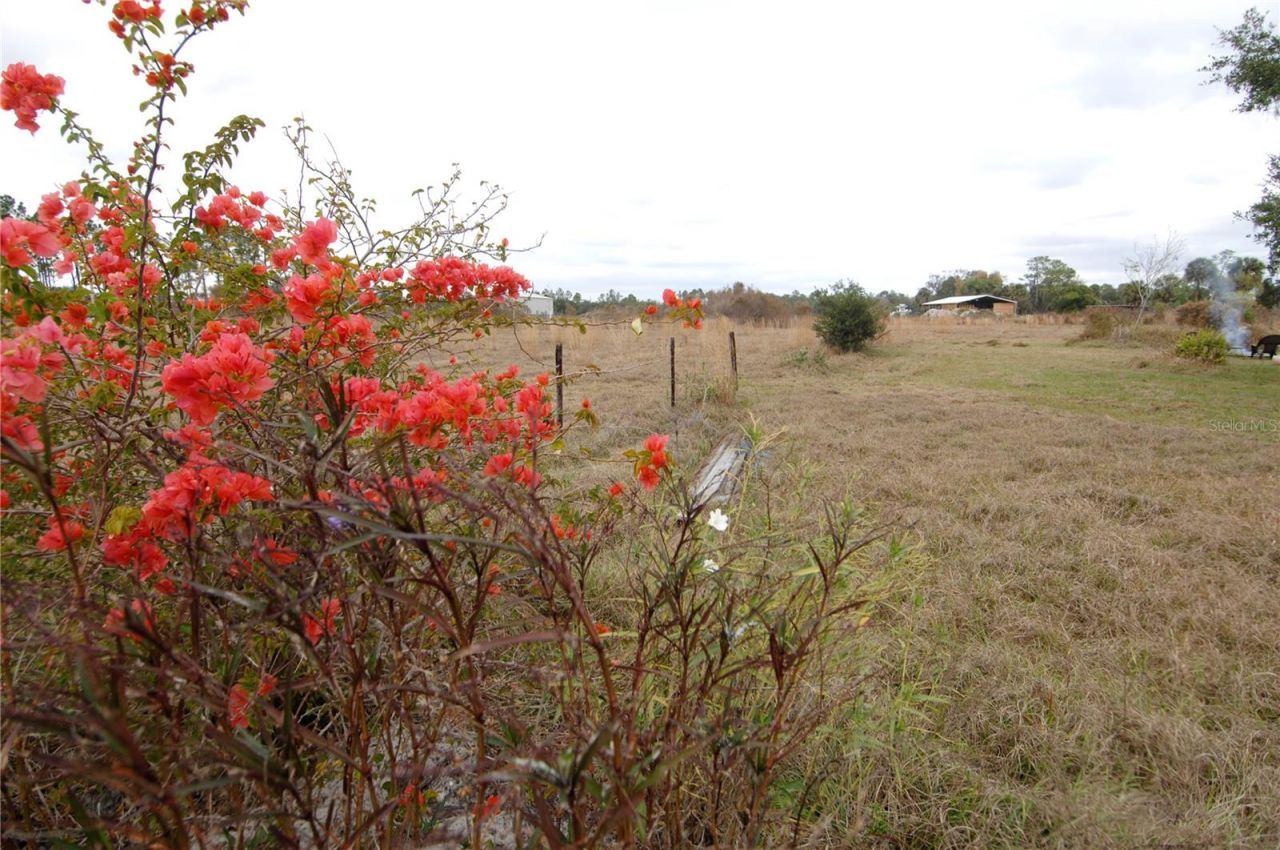 14780 Sugar Bowl Road, Myakka City, FL 34251 Photo