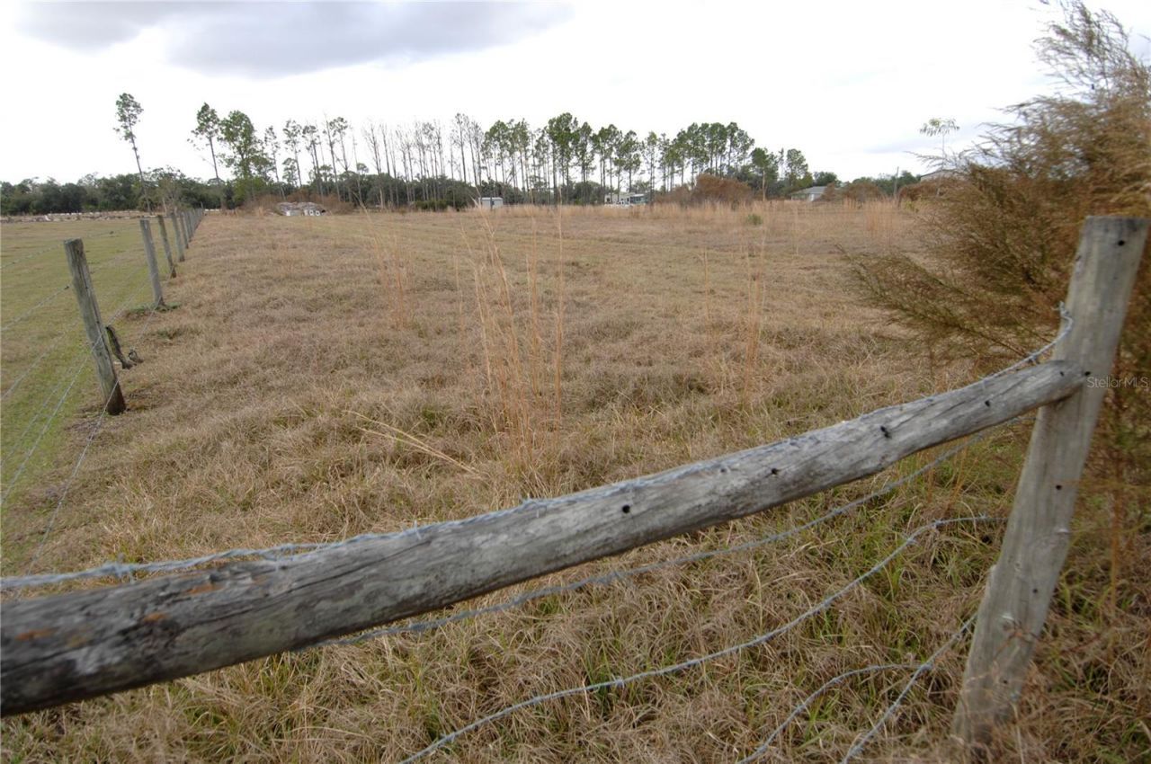 14780 Sugar Bowl Road, Myakka City, FL 34251 Photo