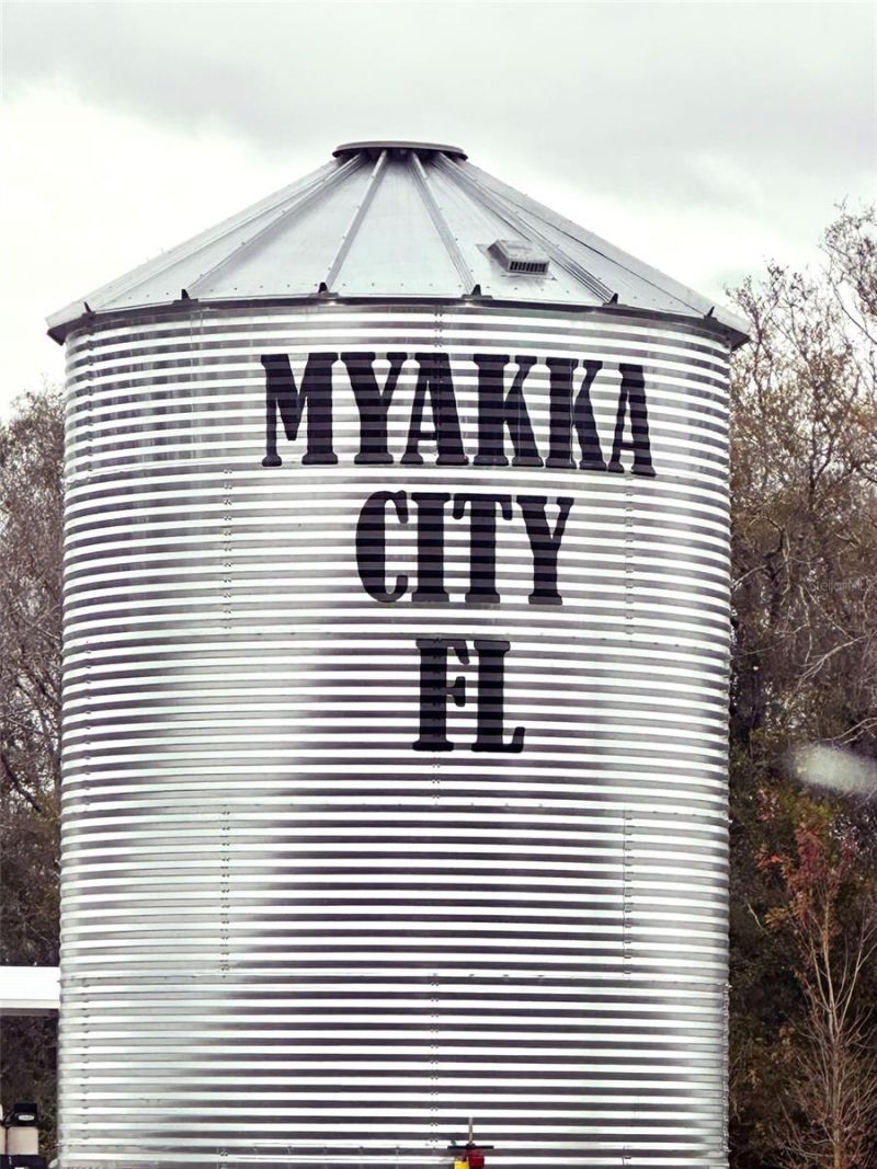 14780 Sugar Bowl Road, Myakka City, FL 34251 Photo