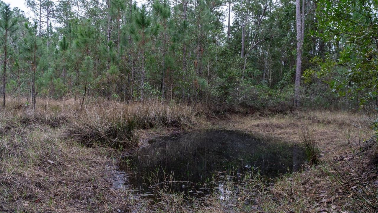 4405 State Road 206 W, Elkton, FL 32033 Photo