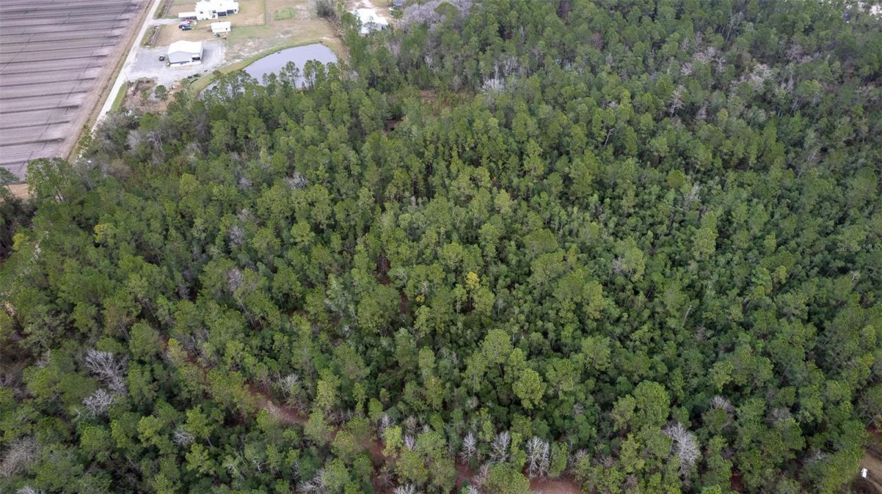 4405 State Road 206 W, Elkton, FL 32033 Photo