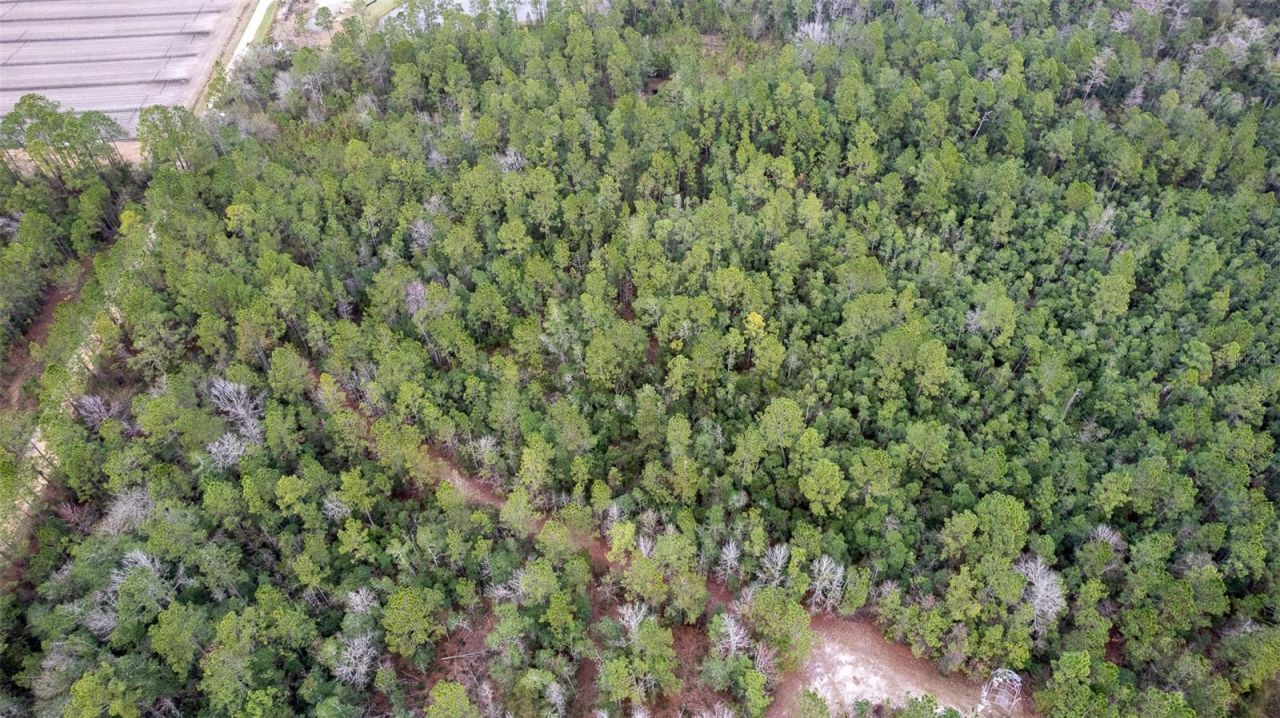 4405 State Road 206 W, Elkton, FL 32033 Photo